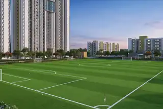 Full-Length Football Field