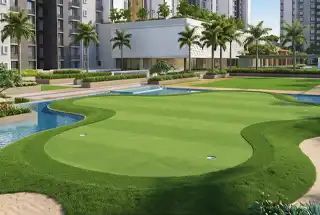 Golf Putting Lawn